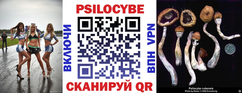 Псилоцибиновые грибы ЛСД  как найти   Весьегонск 
